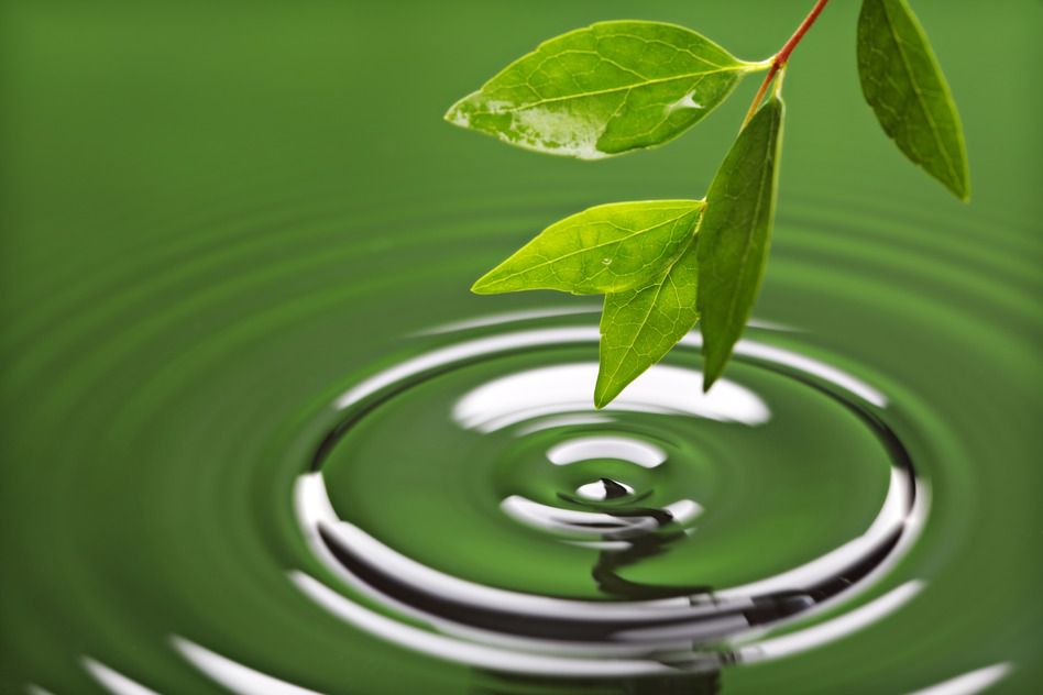Want Health?  Find Your Natural Rhythm!
