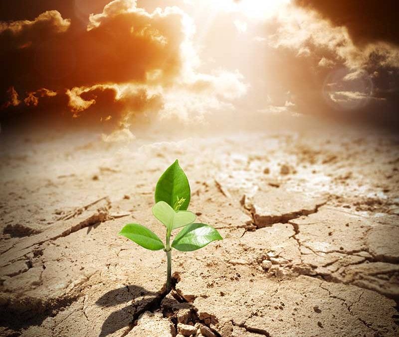 Failure is an Illusion - How to get Your Head Straight